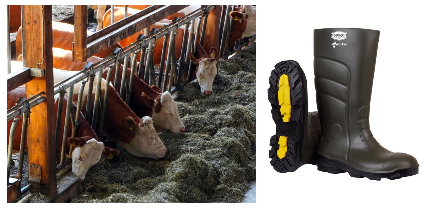 bottes zone d’élevage